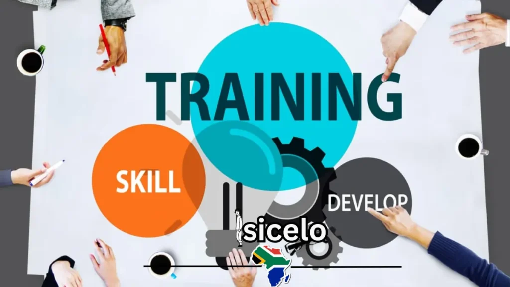 What Are the Skills Programs for ETDP SETA