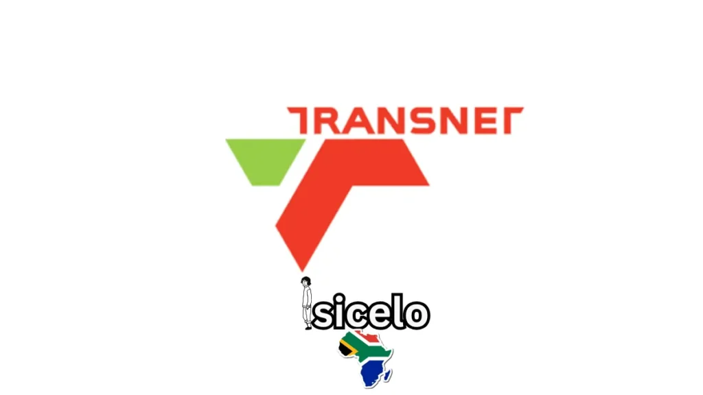 Non-Technical Learner Programme
